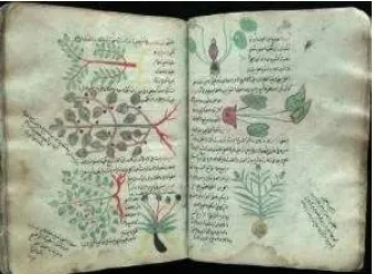 Gambar 6. Manuscrip pertanian Sumber: http://muslimheritage.com 