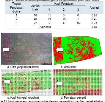Gambar 11. Hasil pemetaan penutupan gulma dengan pengambilan gambar memakai balon udara 