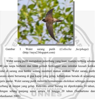 Gambar 1 