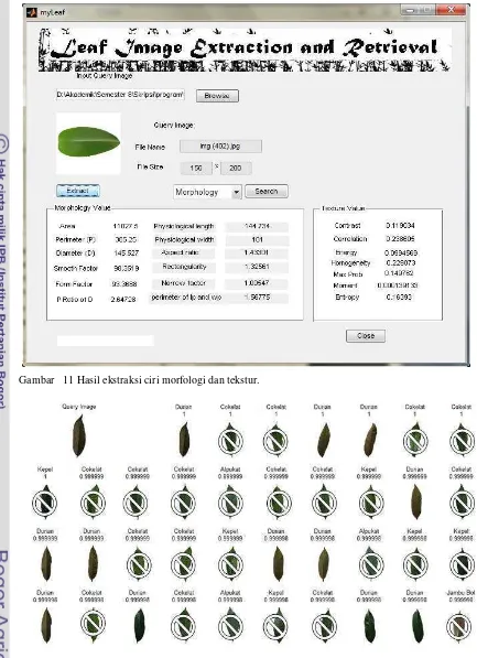 Gambar   11 Hasil ekstraksi ciri morfologi dan tekstur.
