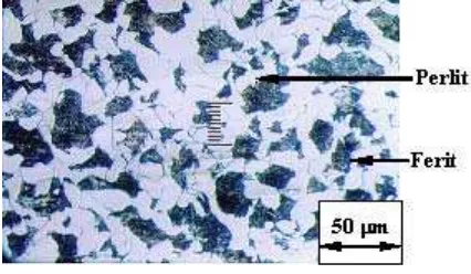 Gambar 3. Struktur Mikro Spesimen QuenchAir Garam pada Perbesaran 200x