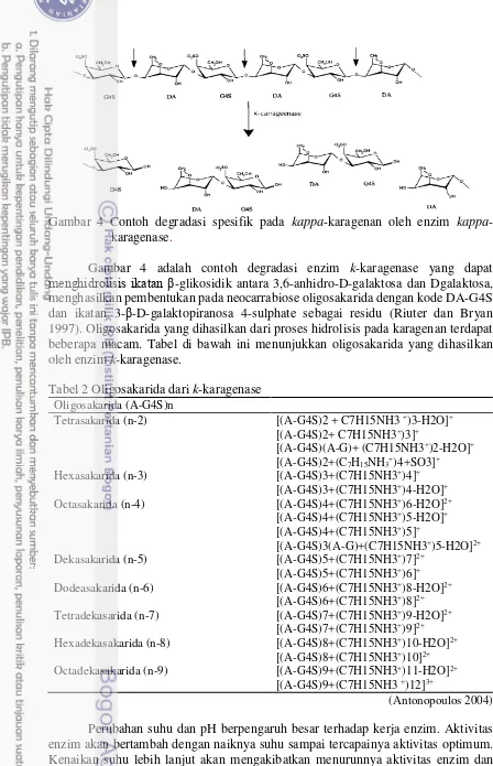 Gambar 4 Contoh degradasi spesifik pada  kappa-karagenan oleh enzim kappa-