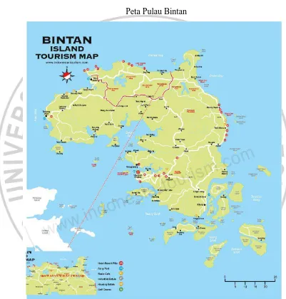 Gambar 3.1 Peta Pulau Bintan 
