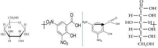 Gambar 2.7 Reaksi asam 3,5-dinitrosalisilat (DNS) dengan gula pereduksi 