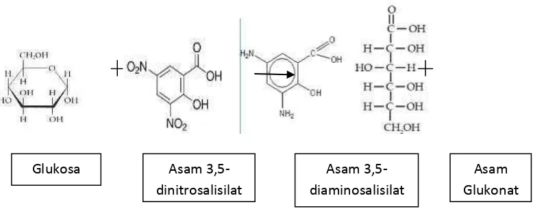 Gambar 4.5 Reaksi asam 3,5-dinitrosalisilat dengan gula pereduksi 
