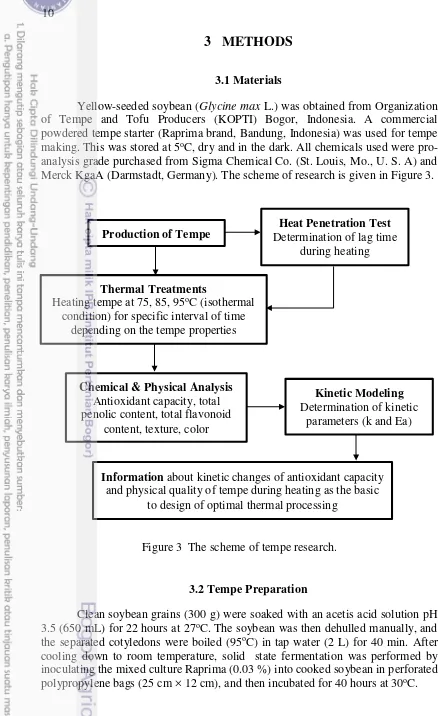 Figure 3  The scheme of tempe research. 