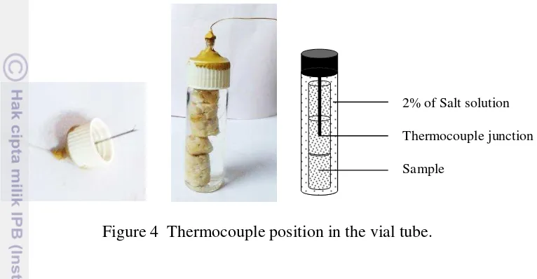 Figure 4  Thermocouple position in the vial tube. 