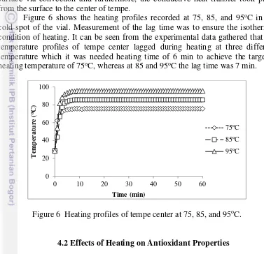 Figure 6  Heating profiles of tempe center at 75, 85, and 95oC. 