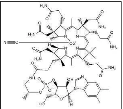 Gambar 4 Struktur kimia vitamin B12 