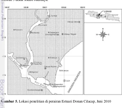 Gambar 5. Lokasi penelitian di perairan Estuari Donan Cilacap, Juni 2010 