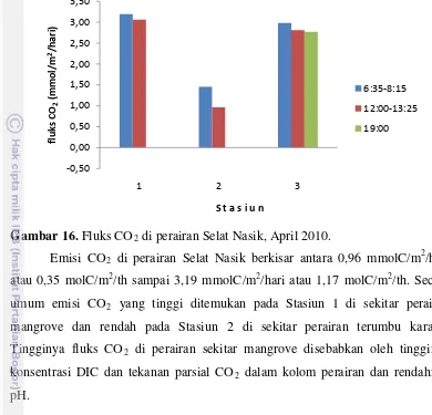 Gambar 16. Fluks CO2 di perairan Selat Nasik, April 2010.  