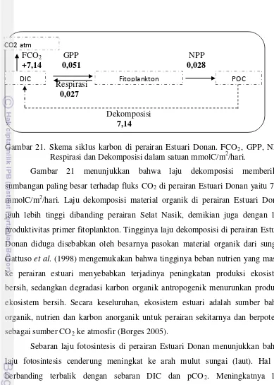 Gambar 21. Skema siklus karbon di perairan Estuari Donan. FCO2, GPP, NPP, 2