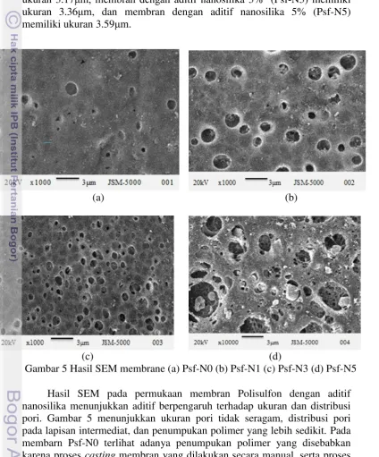 Gambar 5 Hasil SEM membrane (a) Psf-N0 (b) Psf-N1 (c) Psf-N3 (d) Psf-N5  