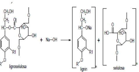 Gambar 2.2. Mekanisme pemutusan ikatan antara lignin  dan selulosa menggunakan NaOH 
