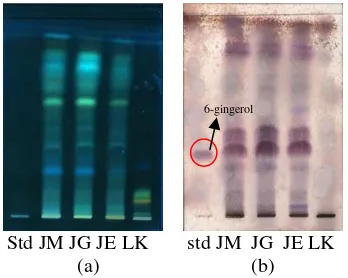 Gambar 18 Pola kromatogram standar (std), jahe merah (JM), jahe gajah (JG), jahe emprit (JE), dan lengkuas (LK) dengan deteksi UV 366 nm (a), dan deteksi anisaldehida (b)