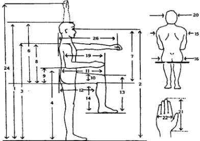 Gambar 2.3. Antropometri Tinggi Badan Berdiri dan Duduk Sumber : Sritomo Wigjosoebroto, 2003 