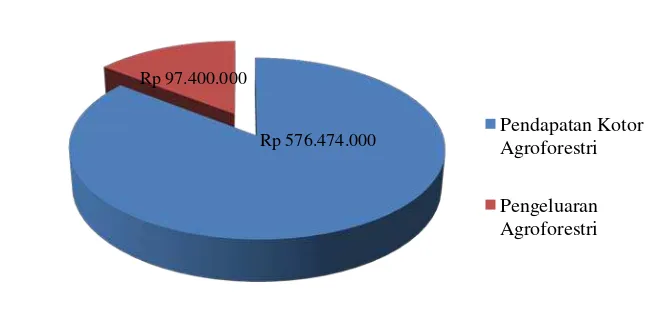 Gambar 5. Diagram persentase pendapatan bersih Agroforestri 