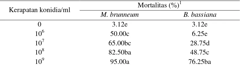 Tabel 1 Mortalitas kumulatif C. formicarius pada hari ke-10 setelah perlakuan 