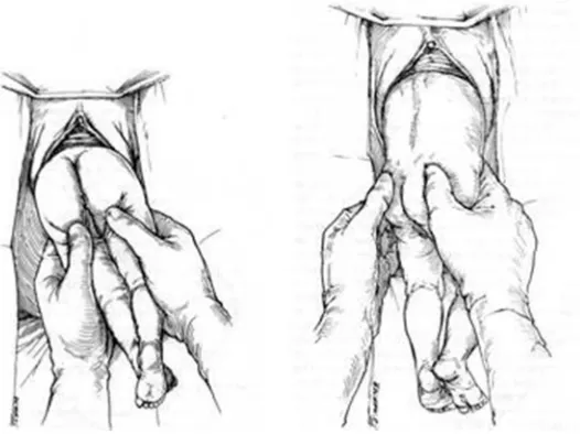 Gambar 2.3 Langkah 7 