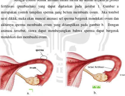 Gambar 1. Contoh tampilan media animasi proses fertilisasi (pembuahan) a. Sperma belum membuahi ovum b