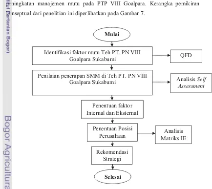 Gambar 7. Kerangka Pemikiran Konseptual Penelitian 