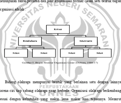 Gambar 5. Bagan Struktur Organisasi Linier (Dirham, 1986:17) 