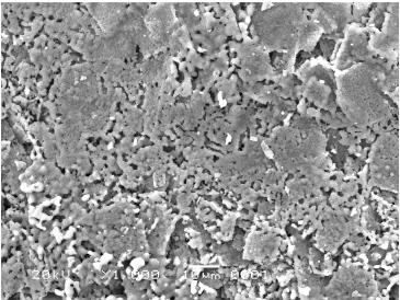 Gambar 30. Mikrograf  Sampel SB  perbesaran 20000x  
