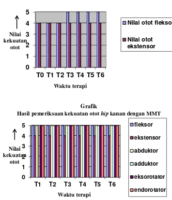 Hasil pemeriksaan kekuatan otot Grafik hip kanan dengan MMT 