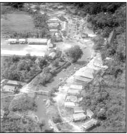 Gambar 1.2. Pola Sebaran.