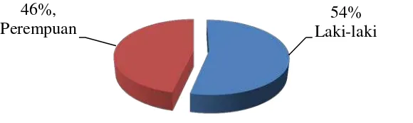 Gambar 8. Perbandingan Persentase Jenis Kelamin Responden 