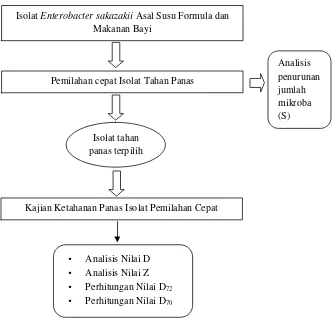 Gambar 5. Diagram Alir Penelitian Ketahanan Panas Isolat E. Sakazakii                                            Asal Susu Formula dan Makanan Bayi  