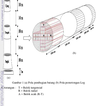 Gambar 1 (a) Pola pembagian batang (b) Pola pemotongan Log 