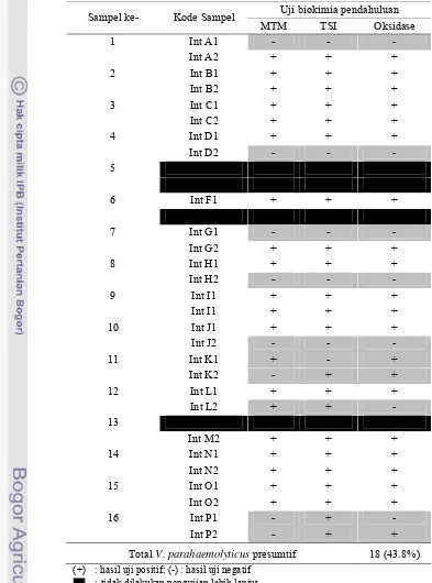 Tabel 12.  Identifikasi V. parahaemolyticus presumtif pada sampel udang    tambak intensif di Kecamatan Patrol 