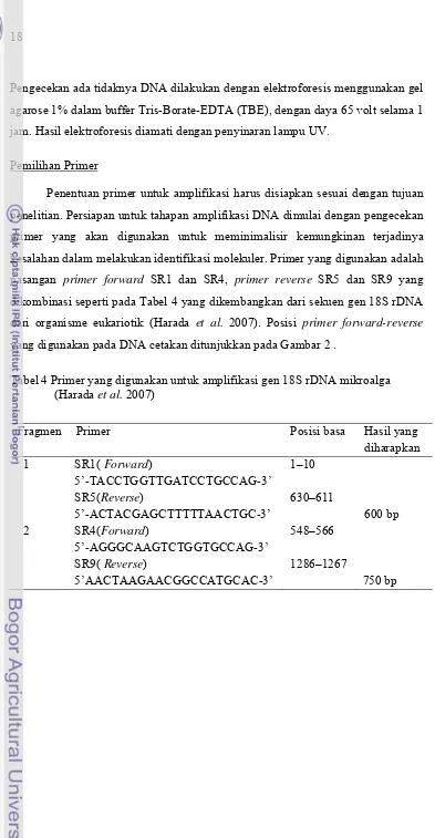 Tabel 4 Primer yang digunakan untuk amplifikasi gen 18S rDNA mikroalga 