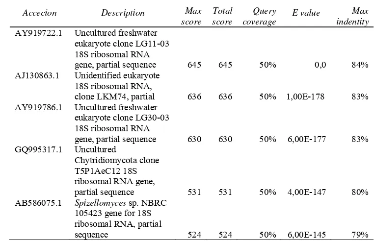 Tabel 5 Daftar organisme yang mempunyai kemiripan DNA dengan isolat   mikroalga berdasarkan hasil BLAST dari koleksi database Bank Gen 