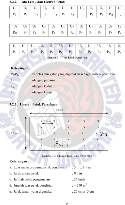 Gambar 3.1. Tata Letak Penelitian 