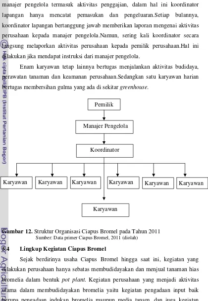 Gambar 12. Struktur Organisasi Ciapus Bromel pada Tahun 2011 