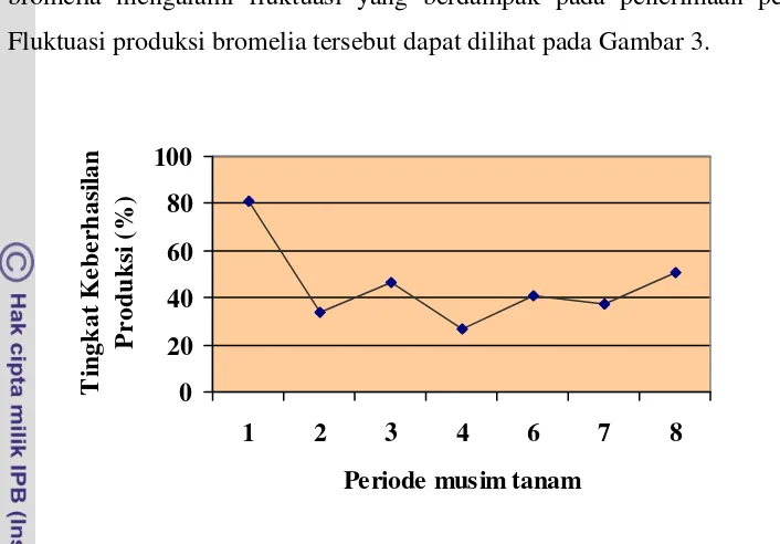 Gambar 3.  Tingkat Keberhasilan Produksi Bromelia Ukuran Pot Berdiameter 