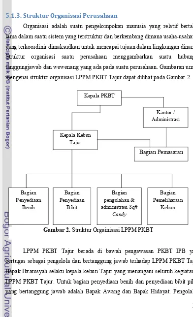 Gambar 2. Struktur Orgainisasi LPPM PKBT 