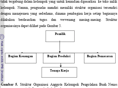 Gambar 5.  Struktur Organisasi Anggota Kelompok Pengolahan Buah Nenas 