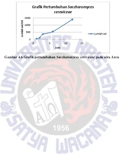 Grafik Pertumbuhan Saccharomyces 