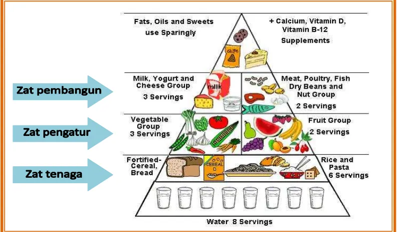Gambar 2. Piramida Makanan