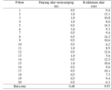 Tabel 4  Panjang dan kedalaman perakaran horizontal pohon mahoni muda 