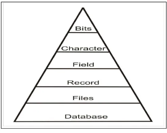 Gambar 2.3 contoh hirarki database 