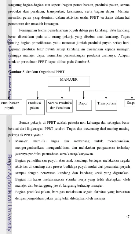 Gambar 5. Struktur Organisasi PPBT 