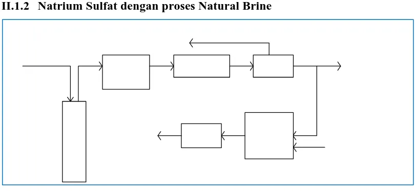 Gambar II.1 2. Natrium Sulfat dengan proses Natural Brine