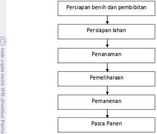 Gambar 6. Alur Proses Produksi pada PT Masada Organik Indonesia Tahun 2010 