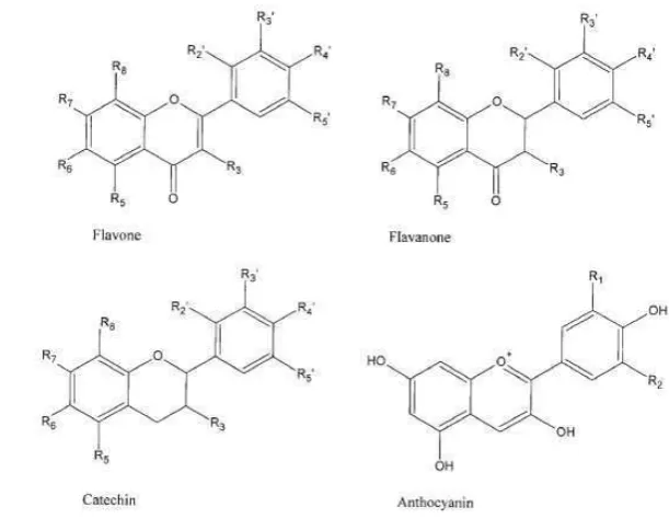 Gambar 2. Struktur molekular dari masing-masing kelompok flavonoid 