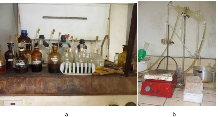 Gambar 17. Persiapan bahan (a) pemberian metanol dan (b) tumbuhan beracun yang sudah diberi metanol ditutup dengan kantong plastik 