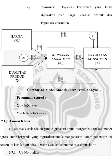 Gambar 3.1 Model Analisis Jalur ( Path Analysis ). 